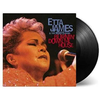 Burnin down the house 180 gm 2lp vinyl vinilo