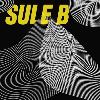La Teoría Del Caos - Sule B