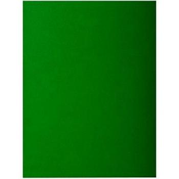 Exacompta 217104E - Lote de 10 Subcarpetas RockS 220, Color Verde