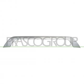 Protector de Parachoques PRASCO VG7501255 con Zierleiste