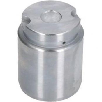Émbolo pinza del freno AUTOFREN SEINSA D025545 Trasero