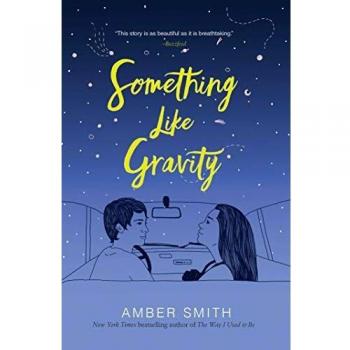 Something Like Gravity: A Contemporary Young Adult Fiction Novel