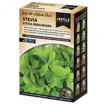 Kit cultivo Stevia Rebaudiana