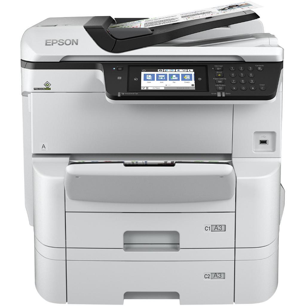 Imagen Principal