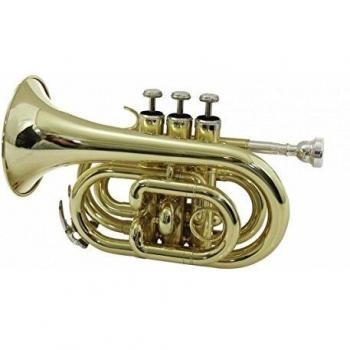 Dimavery TP-300 - Trompeta de bolsillo, dorado