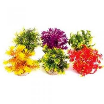 Rosewood Sydeco - Adorno para Plantas, diseño de Selva
