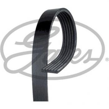 Correa trapecial poli V GATES 6PK1348XS - Correa V-ribbed de 6 pistas, longitud de 1348 mm, fabricada por GATES, alta resistencia y durabilidad, diseñada para sistemas de