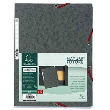 Exacompta 55511E - Carpeta con goma, A4, color gris