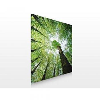 Cuadro de lienzo no.3 Trees Of Life 70x70cm, Größe:70cm x 70cm
