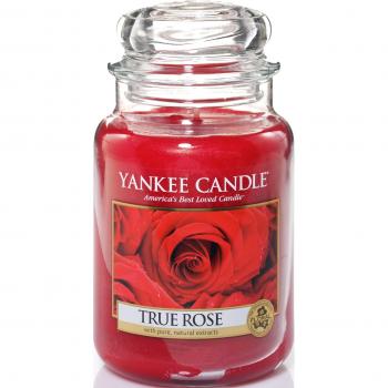 Vela verdadera rosa yanqui 22 Oz Color: rojo
