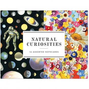 Natural Curiosities Greeting Assortment Notecards