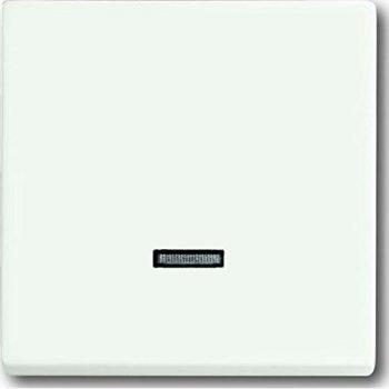 Busch-Jaeger Future Linear Touch Dimmer Control Plate with Indicator Light, Matte White 6543-884-101