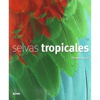 SELVAS TROPICALES