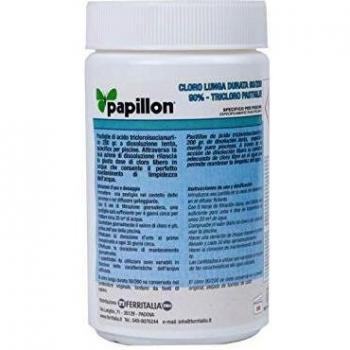 PAPILLON 8324020 Cloro Lento Mantenimiento 90% Pastillas 200 Gramos