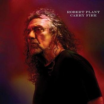 Carry fire vinyl