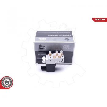 Válvula de aire comprimido ESEN SKV 93SKV807