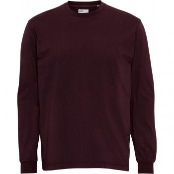 Colorful Standard Organic Oversized Long Sleeve T-Shirt in Oxblood Red