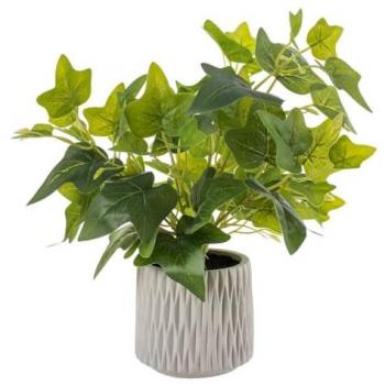 Planta Decorativa de Hiedra en Cemento y PEVA - 12 x 12 x 39 cm