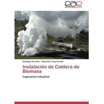 Instalación de Caldera de Biomasa: Ingeniería Industrial