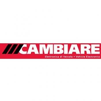 Cambiare Radiator Fan Switch - VE709047