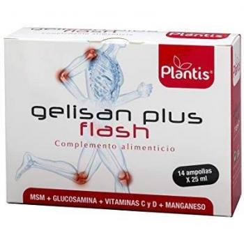 Artesania Gelisan Plus Flash 14Amp. 100 g