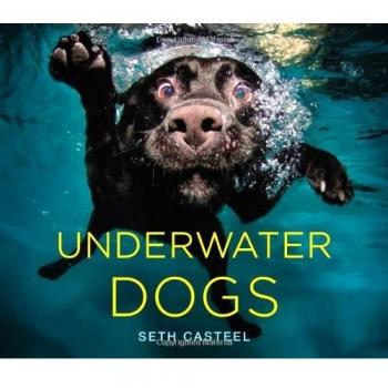 Underwater Dogs