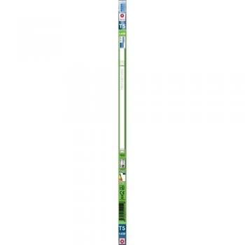 Garza Lighting - Tubo Fluorescente T5 Luz Día 14W G5 1068 Lúmenes 6.500K