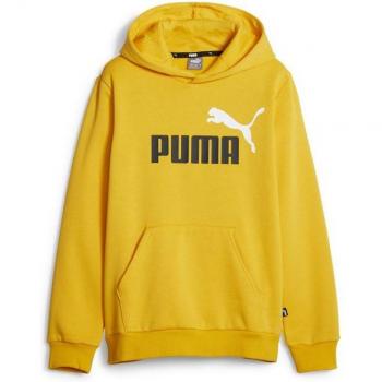Sudadera de Puma ESS +2 Col Big
