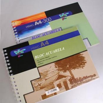 Cuaderno de Dibujo A3 Acuarelas 12 Hojas 300gms Wonder Art By Pryse 6230034