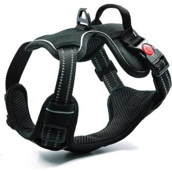 K2 ARNES Antitirones para Perro Pequeño Azul