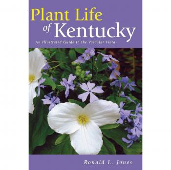 Kentucky Vascular Flora Illustrated Guide (Hardback)
