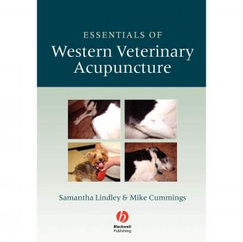 Essentials of Western Veterinary Acupuncture