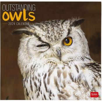 Calendario de Pared 2024 Owls Legami