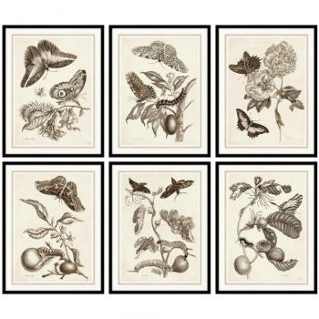 Cuadro DKD Home Decor 50 x 2,5 x 65 cm Flores Moderno (6 Piezas)