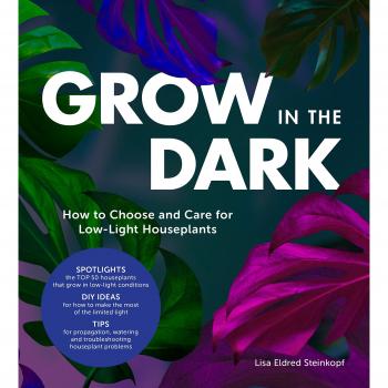Grow in the Dark How to Choose and Care for LowLight Houseplants