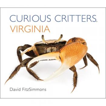 Curious Critters Virginia