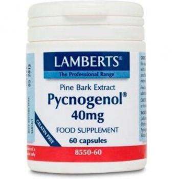 Lamberts Pycnogenol 40mg - 60 Cápsulas