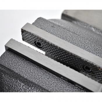 Torno de banco giratorio AWTOOLS 5/125mm modelo SG 24237