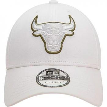 Gorra New Era Chicago Bulls Team Outline 9Forty Blanco