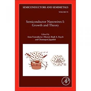 Semiconductor Nanowires I: Growth and Theory: Volume 93