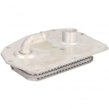 Radiador de Aceite THERMOTEC D4M005TT para MERCEDES BENZ Clase E Berlina, C Coupé y SSANGYONG Musso SUV