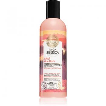 Shampoo Natura Siberica Reparación y Protección 270 ml - Champú reparador para cabello maltratado o dañado con extracto de corteza de pino de Altai
