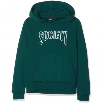 LMTD name it Nlmralf LS Sweat W Hood, Capucha para Niños, Verde Deep Teal, 134