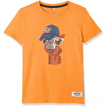 NAME IT Nkmjacob SS Top, Camiseta para Niños, Azul