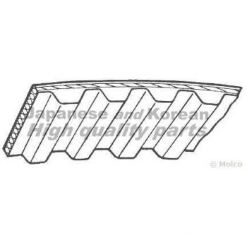 ashuki 0336 – 8050 correa dentada
