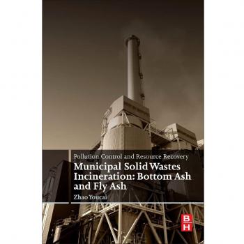 Pollution Control and Resource Recovery: Municipal Solid Wastes Incineration: Bottom Ash and Fly Ash