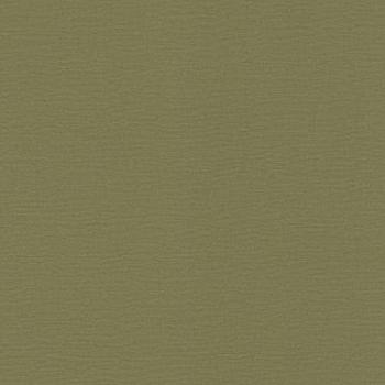 Rasch Papel Tapiz No Tejido Verde Uni 0.53 x 10.05 m, 5.33 m², Textura de Lino y Tela