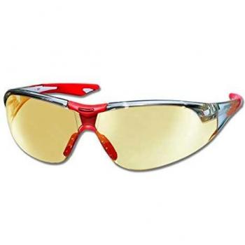 Einhell 49379820 Gafas de Seguridad claras