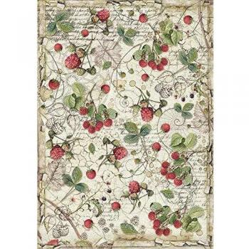 Stamperia Papel de arroz A4 en sobre - Frambuesa, Multicolor, 29.7cmX21cm