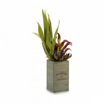 Ibergarden Planta Decorativa Flowers Garden Marrón Verde 10 x 50 x 10 cm (4 Unidades)